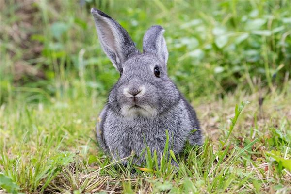 好聽(tīng)的名字:吳俐