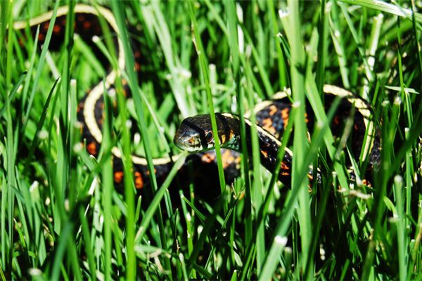 李范伍的姓名打分結(jié)果_李范伍五行分析  第1張