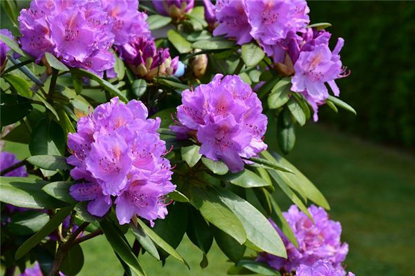 網(wǎng)絡(luò)起名_周寒荷