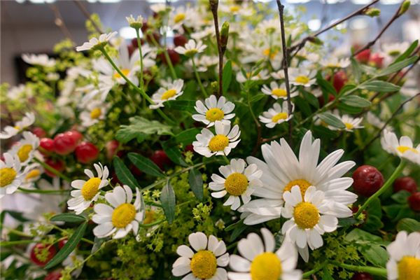 取名禁忌_張姓寶寶名大全