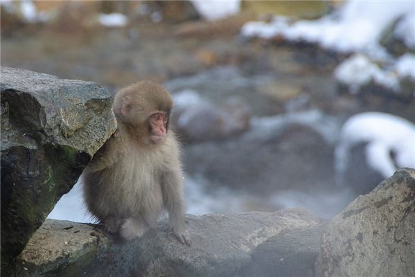 姓名得分測(cè)試_周陶