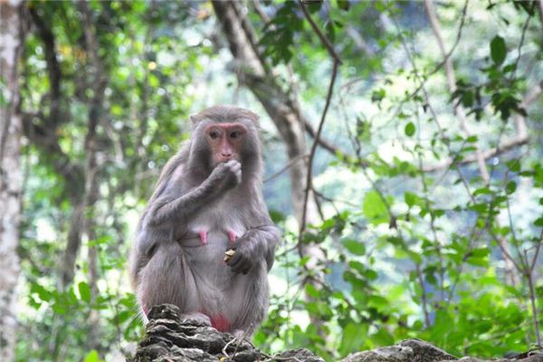 姓名得分_周施詩(shī)