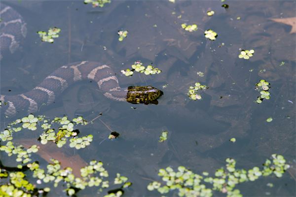 名字評(píng)分:吳秀逸