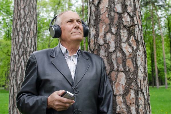 羅林虎的姓名打分結果_羅林虎五行分析