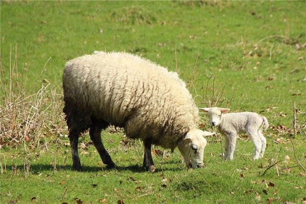 黃長興的姓名打分結(jié)果_黃長興五行分析  第1張