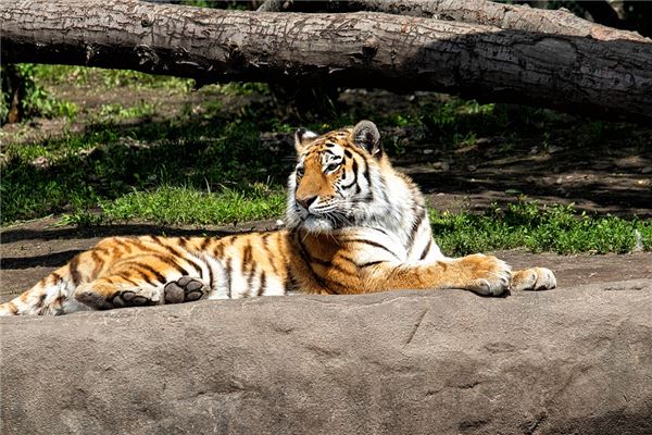 姓名梁碧華打分得分_取名梁碧華五格分析