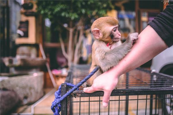 寶寶怎么取名_陳姓2021年生辰八字改名測試