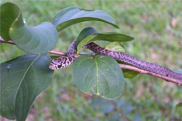 女孩起名_姚姓男孩有寓意的名字