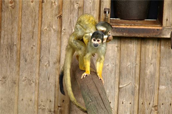 名字評(píng)分:吳陽(yáng)