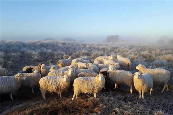 網(wǎng)絡(luò)名字_免費(fèi)算名字