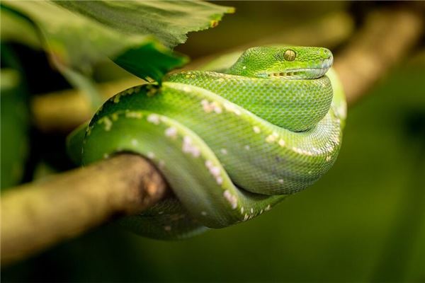 李研熙的姓名打分結(jié)果_李研熙五行分析