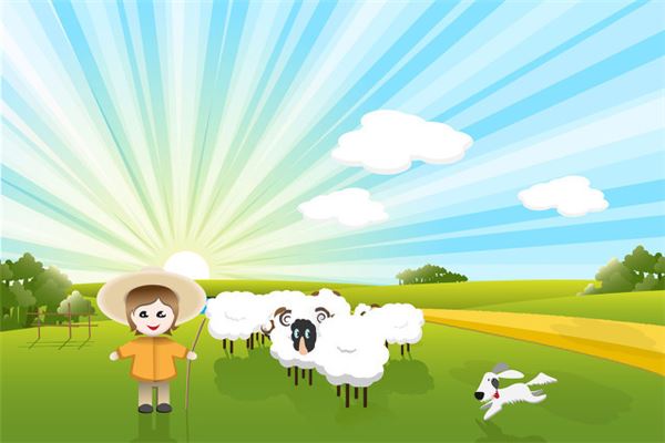 金熙貞的姓名打分結(jié)果_金熙貞五行分析