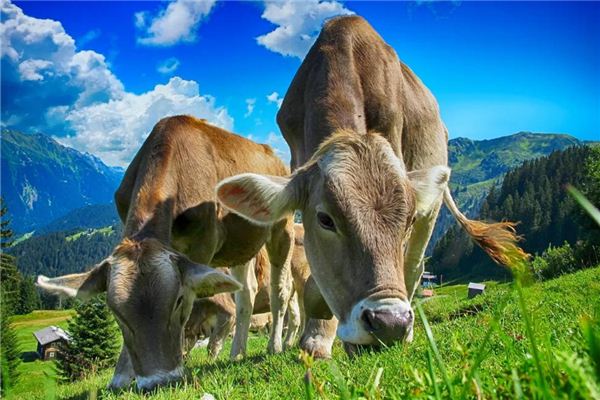 好聽的小名:吳玟麗