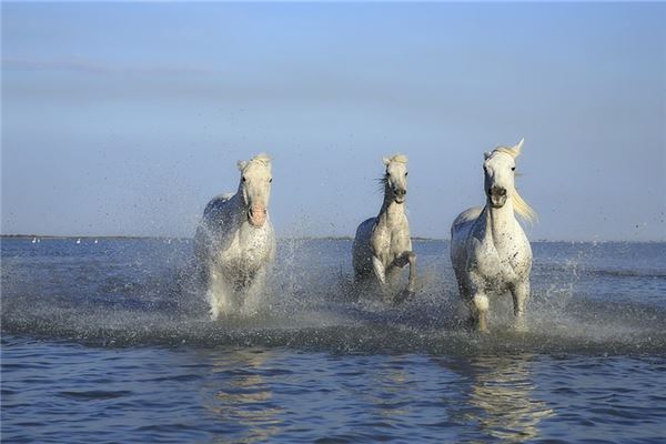 寶寶取名_起名吉祥美好的成語大全