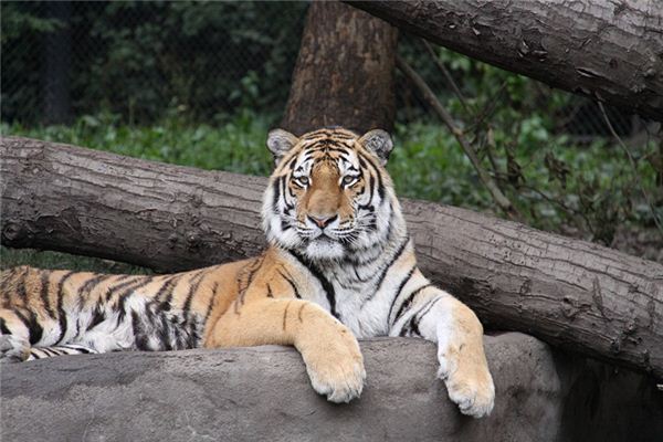 起凡好聽的名字