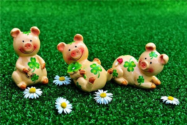 取名字打分:吳新煙