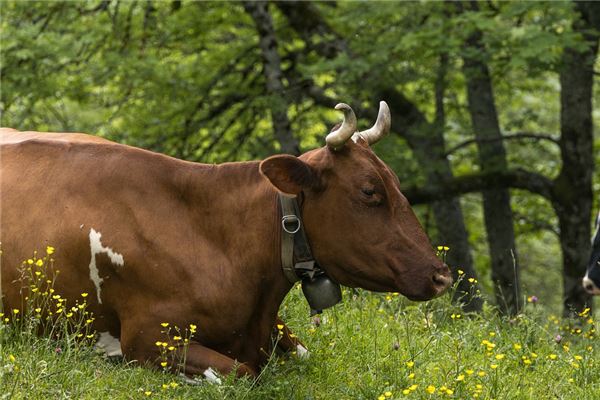 2021姓名取名技巧_帶柔字的女寶名