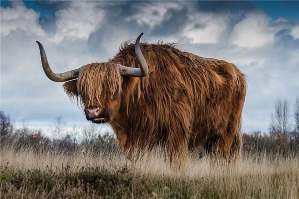 寶寶取名_男女通用的洋氣小名