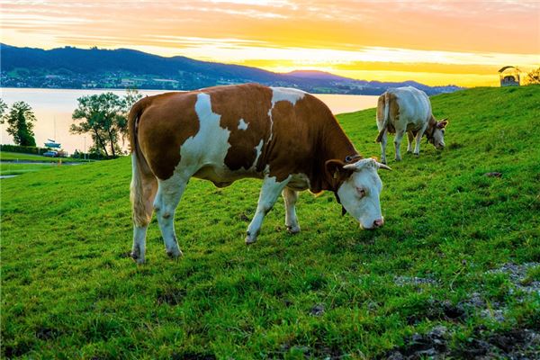 寶寶取名_給男孩子取名的常用字