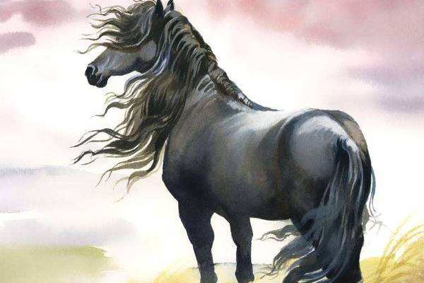 姓名張國(guó)舉打分得分_取名張國(guó)舉五格分析