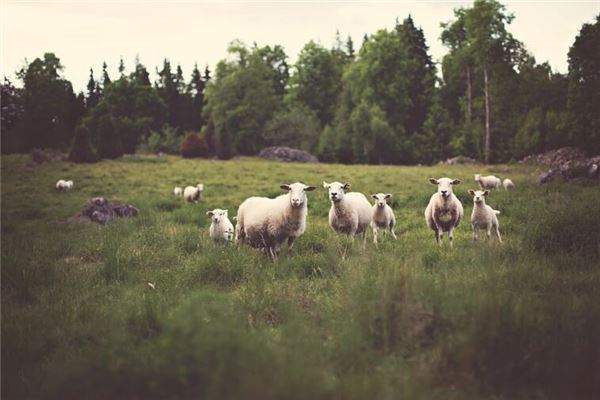 男孩取名_連姓取名字大全