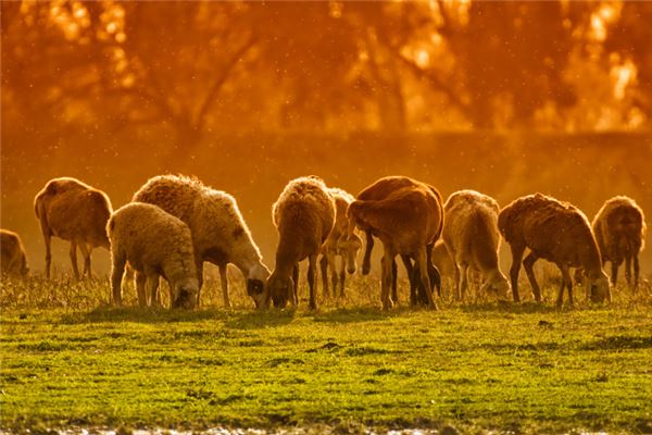 取名字打分:吳憶梅