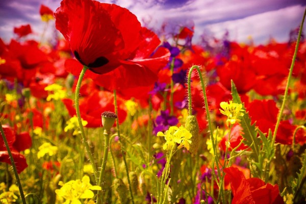 秦鈺的姓名打分結(jié)果_秦鈺五行分析