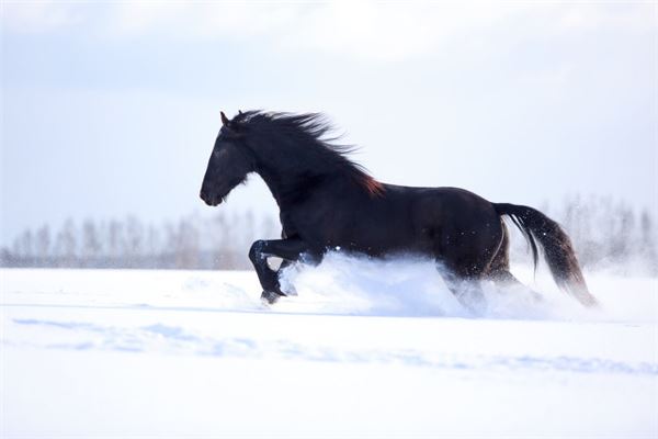 謝光祥的姓名打分結(jié)果_謝光祥五行分析