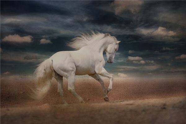 王雄誕的姓名打分結(jié)果_王雄誕五行分析