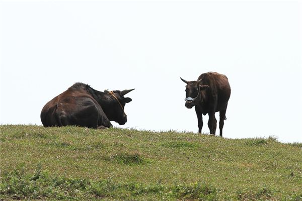 黃寶世的姓名打分結果_黃寶世五行分析