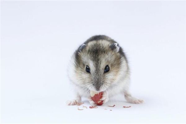 禮品公司取名字  第1張