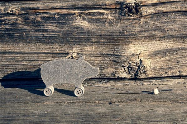 何佩琪的姓名打分結果_何佩琪五行分析