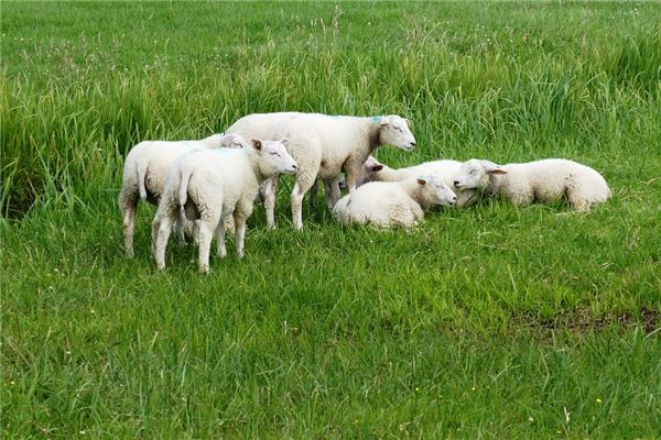 2021新生兒起名_黃姓男寶寶起名大全