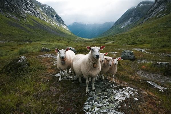 名字推薦_周清瑩