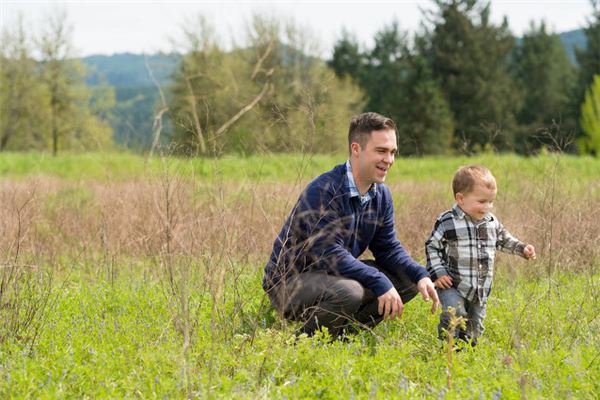 姓名傅勁打分得分_取名傅勁五格分析
