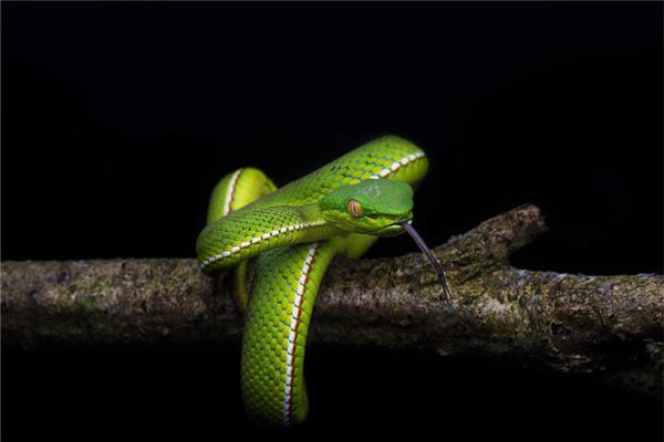 表達(dá)愛情的名字