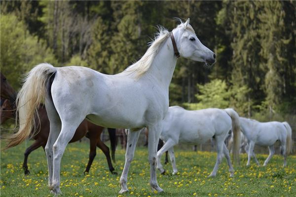 鄒易明的姓名打分結(jié)果_鄒易明五行分析  第1張