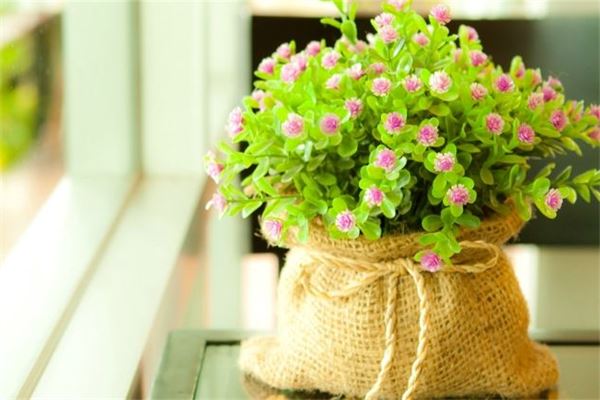 取名禁忌_吳姓的女孩名