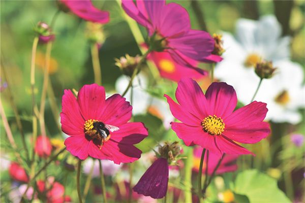 姓氏取名_姓孫的女孩名字洋氣點(diǎn)