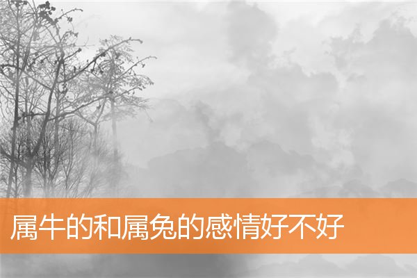 男馬寶寶取名字大全  第1張