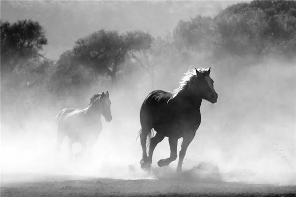 好聽的名字:吳晗昱