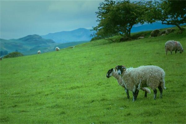 免費取名_李麗姝