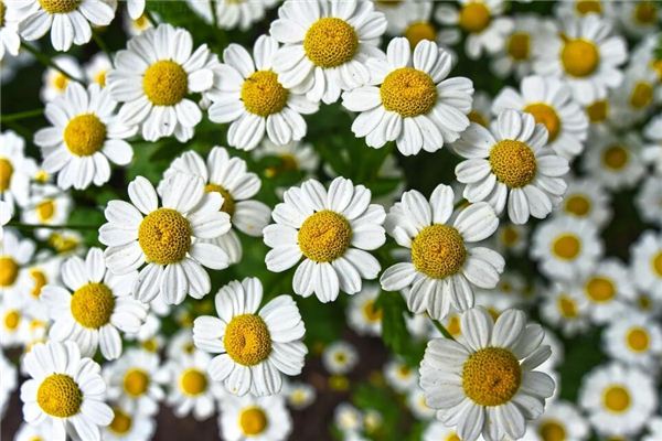 寶寶取名_起名測(cè)名大師起名