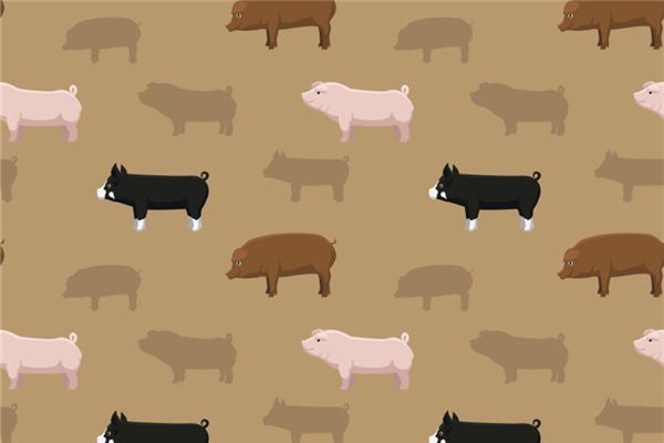 好聽的小名:吳尋冬