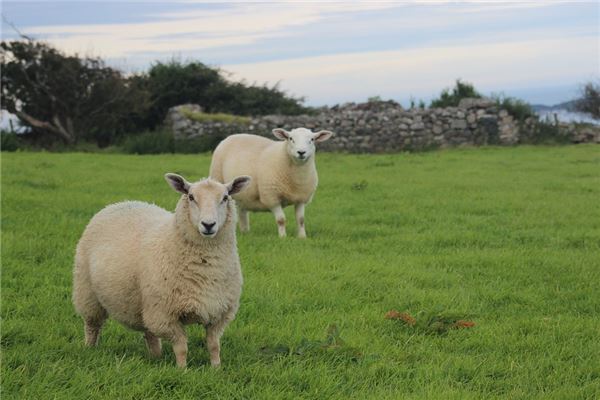 好聽的小名:吳天蓉