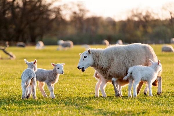 好聽(tīng)的名字推薦_秦姓男孩起名