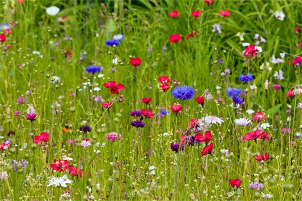 趙哲妤的姓名打分結(jié)果_趙哲妤五行分析