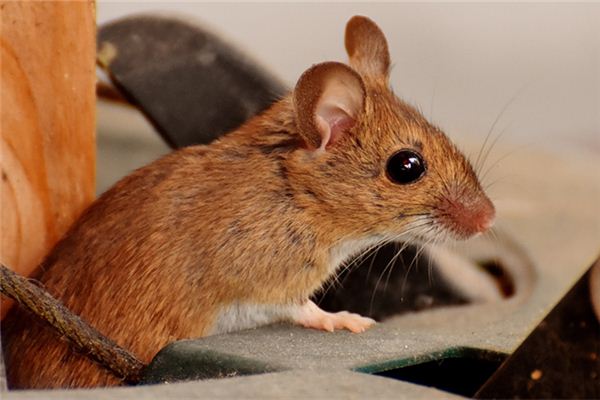 寶寶取名_男孩子五行缺水起名