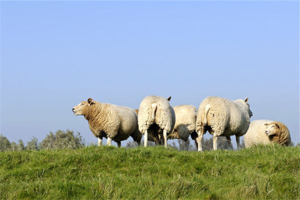 趙榕佑的姓名打分結(jié)果_趙榕佑五行分析
