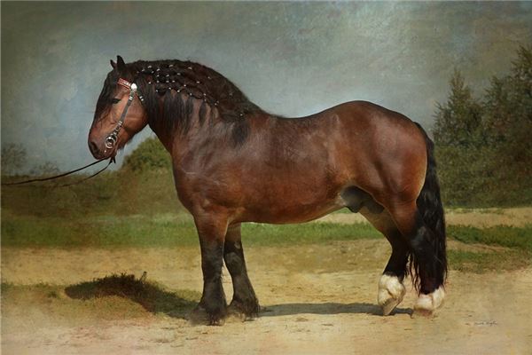 名字打分測試:吳韶容